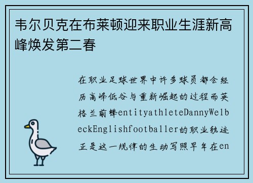 韦尔贝克在布莱顿迎来职业生涯新高峰焕发第二春